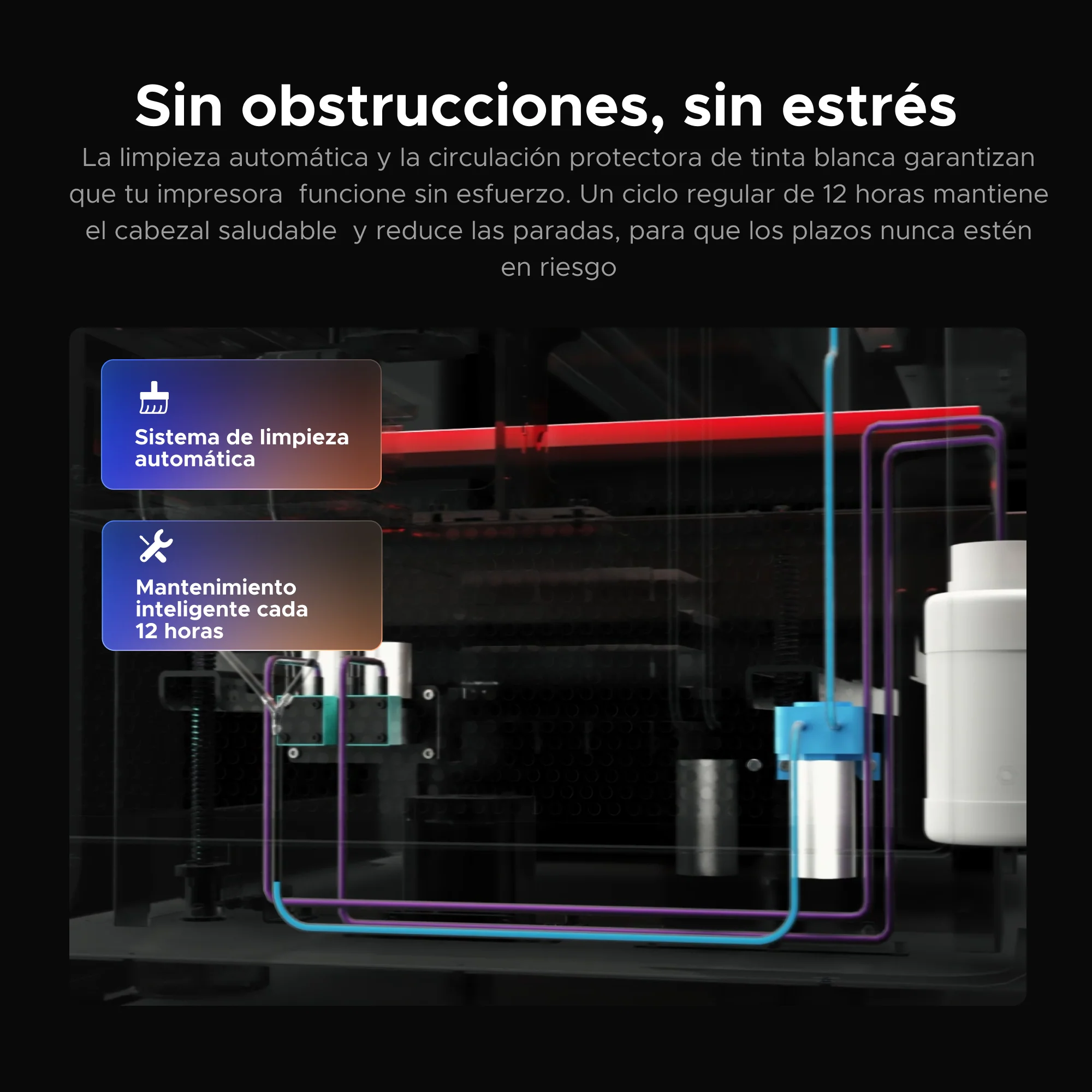 Imagen del producto 9